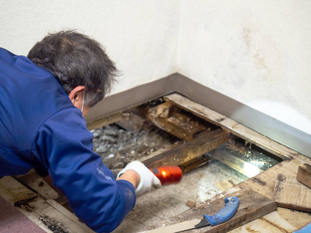 Best Water Damage Restoration  in Deland, FL