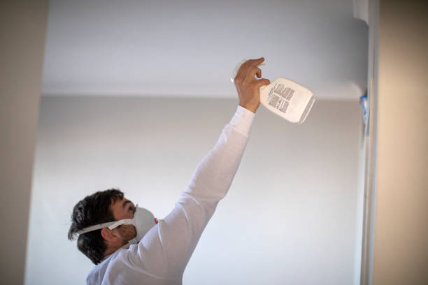 Best Residential Mold Removal  in Deland, FL
