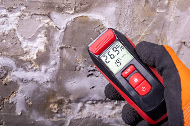 Best Attic Mold Removal  in Deland, FL
