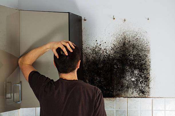 Crawl Space Mold Removal in Deland, FL